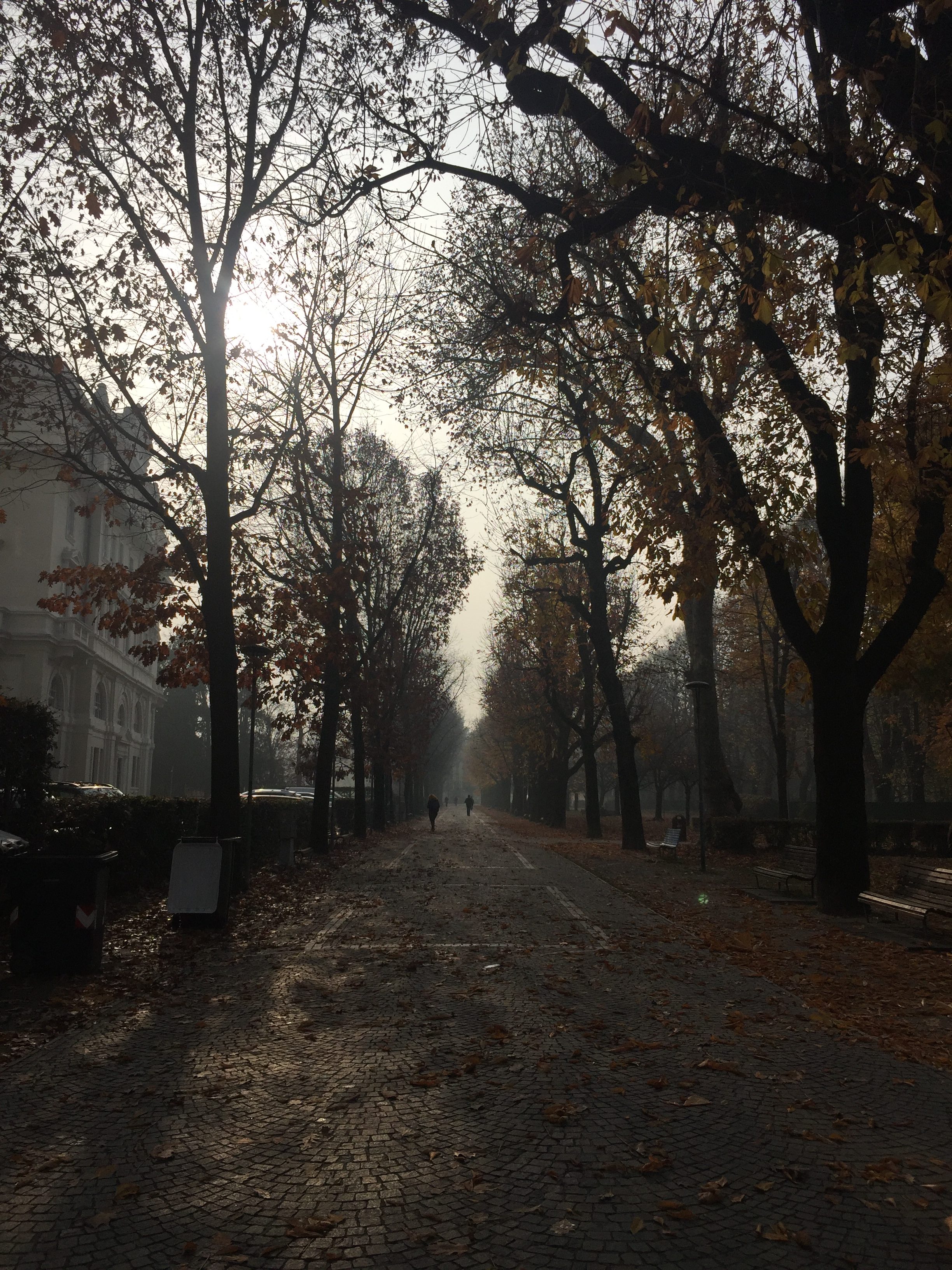 L'autunno tutto da vivere