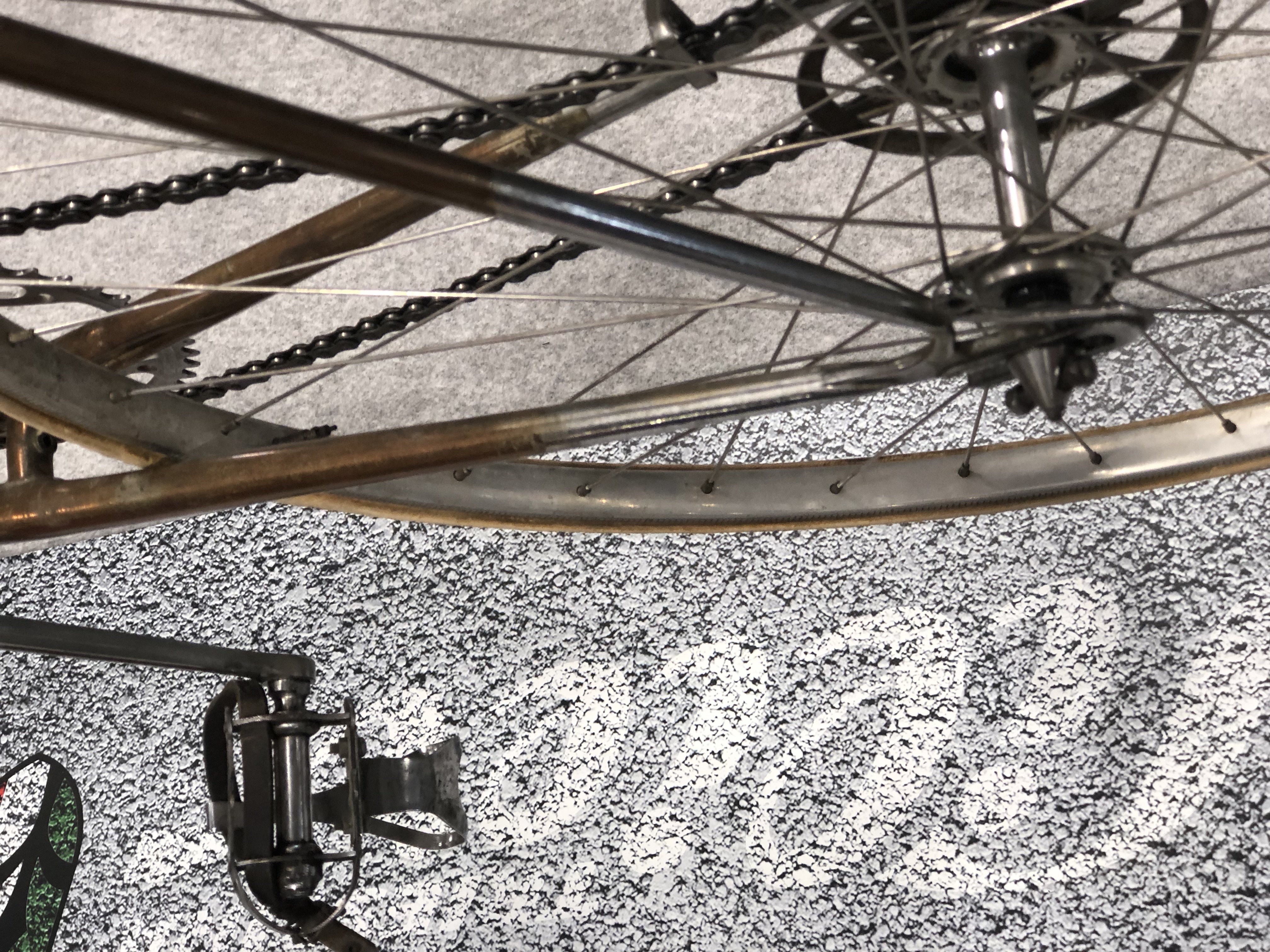 Wilier Triestina