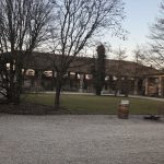 IMG_6753