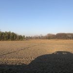 IMG_8279